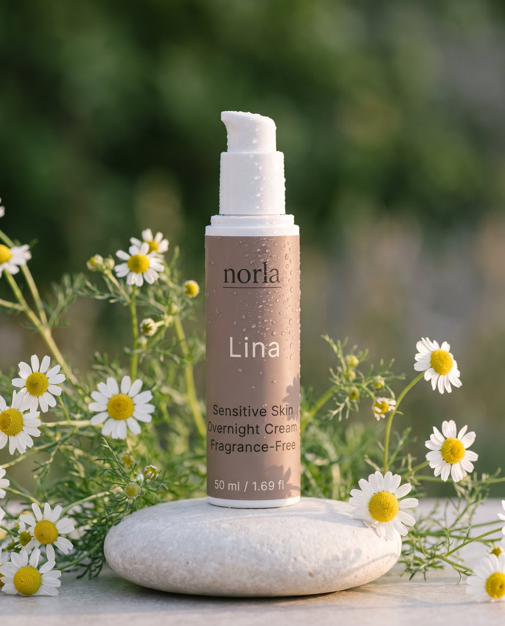 Norla Lina Sensitive Skin Overnight Cream among chamomile